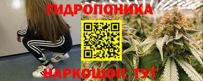 мяу мяу мука Пушкино
