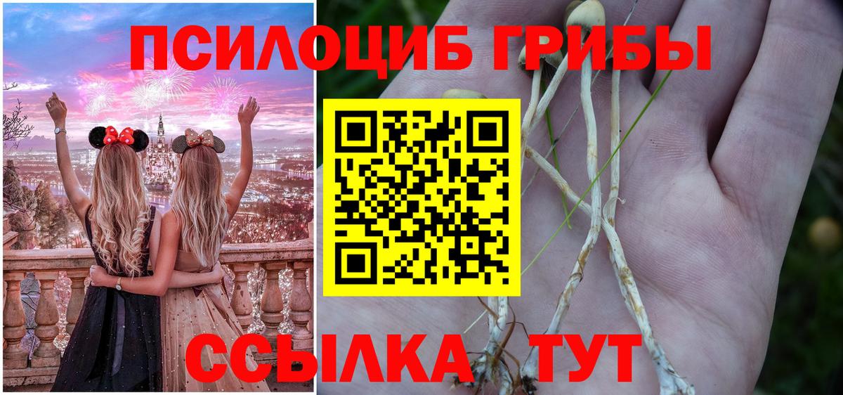 Галлюциногенные грибы ЛСД  Псилоцибиновые грибы мицелий  Саранск  Вход с VPN 