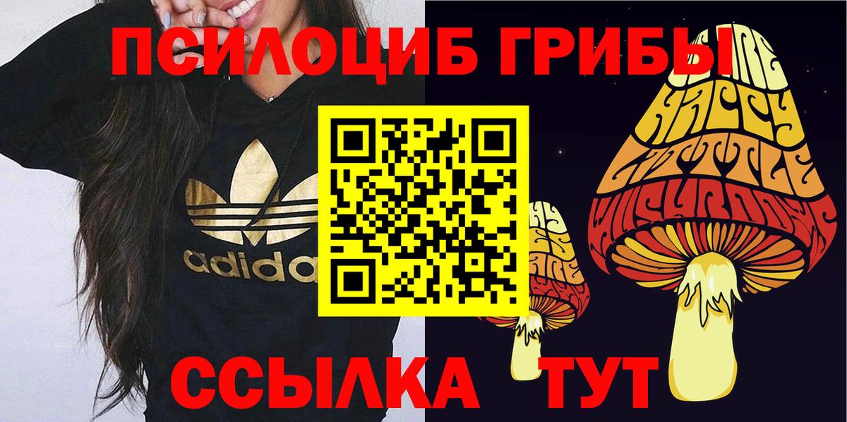 Галлюциногенные грибы Psilocybine cubensis Саранск